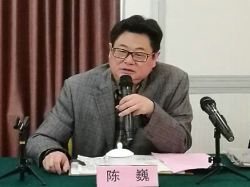 陈巍2