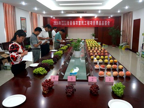 品鉴会现场1