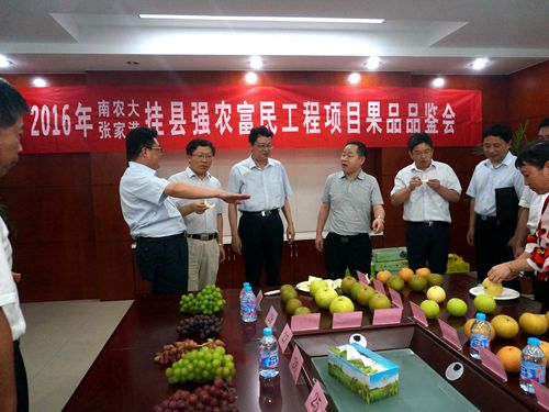 品鉴会现场2