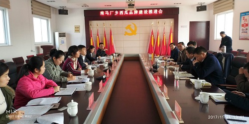 推进会现场.jpg